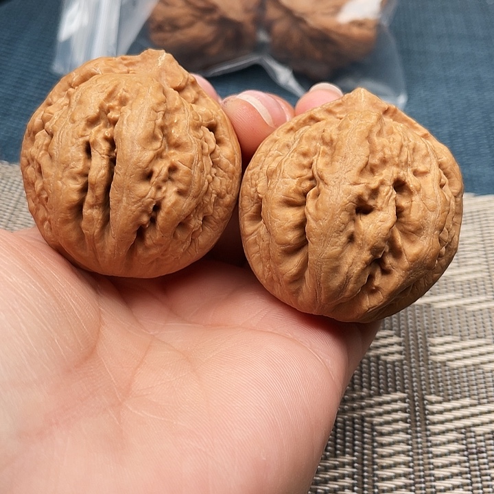 霸王龙文玩核桃41