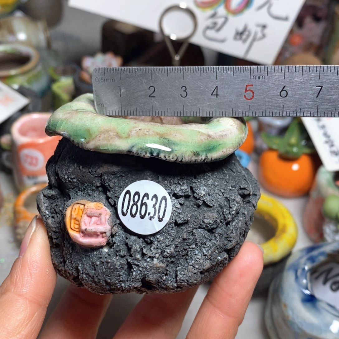 拍3送一个小礼物花盆