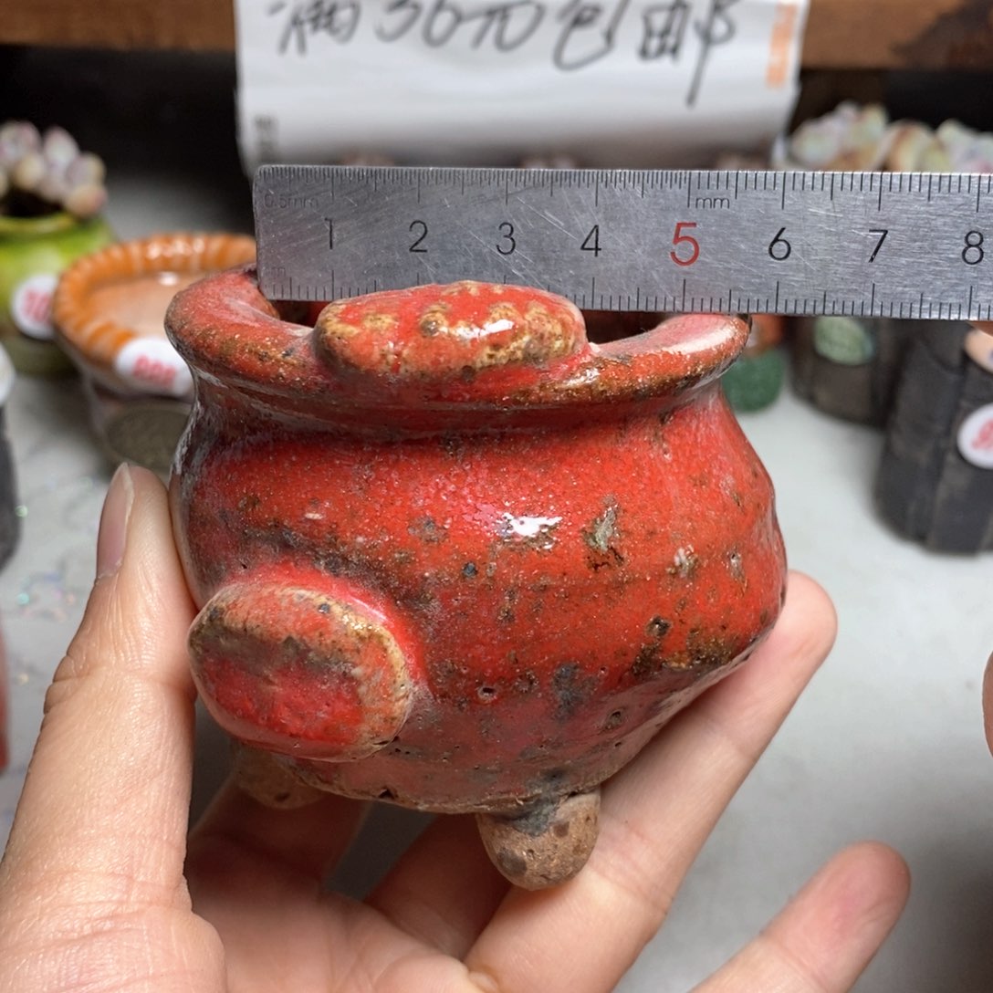 拍5送一个小礼物