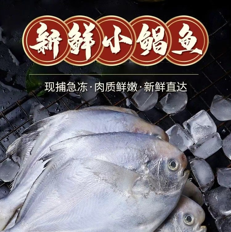 野生银鲳鱼新鲜速冻发出顺丰冷链3-5红烧 到手五斤