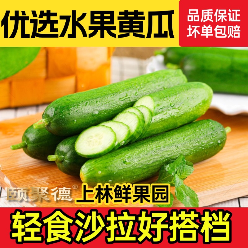 水果黄瓜寿光现摘现发商超品质小黄瓜生吃凉拌沙拉口感脆嫩