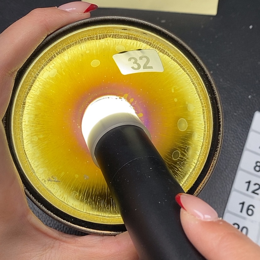 【闪购商品】茶盏32