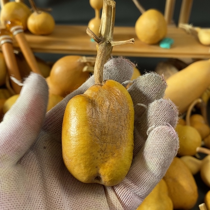 苝*葫芦葫芦真的