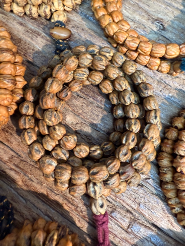 老树原桩红芽百香籽