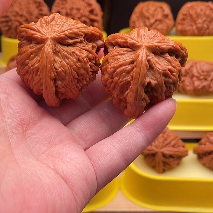 军***哥大叶紫檀（黑酸枝木类）