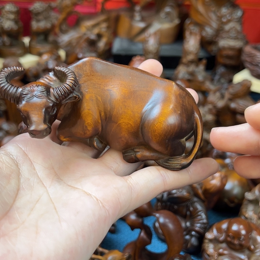 黄杨木小叶黄杨木