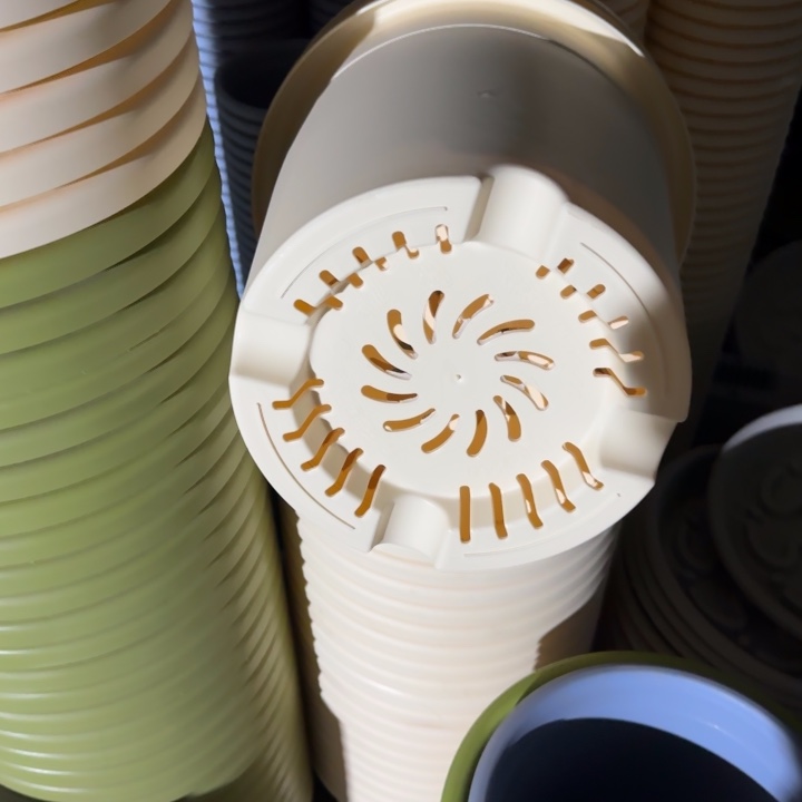 四季6号8个米黄色的