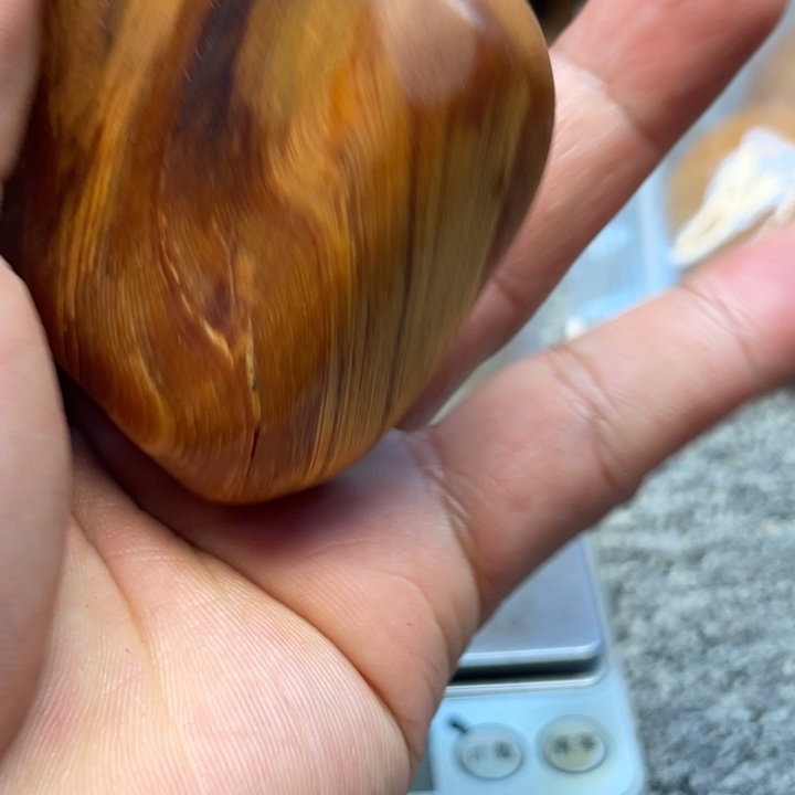 柏木（崖柏）崖柏43
