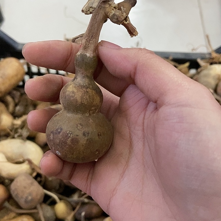 观**涛s d f g h j j k