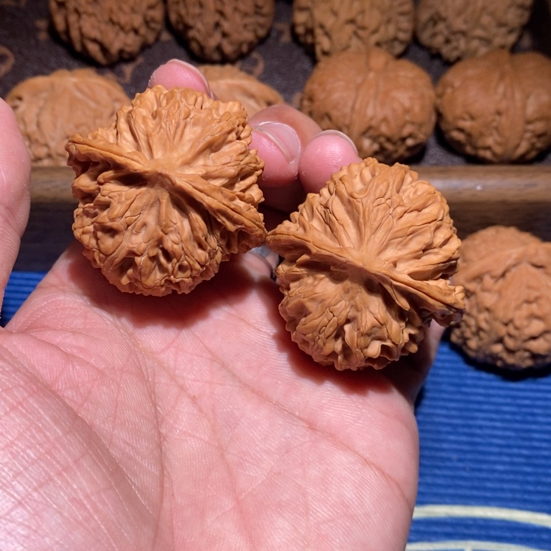 全品无修一刀未动边肚40球果