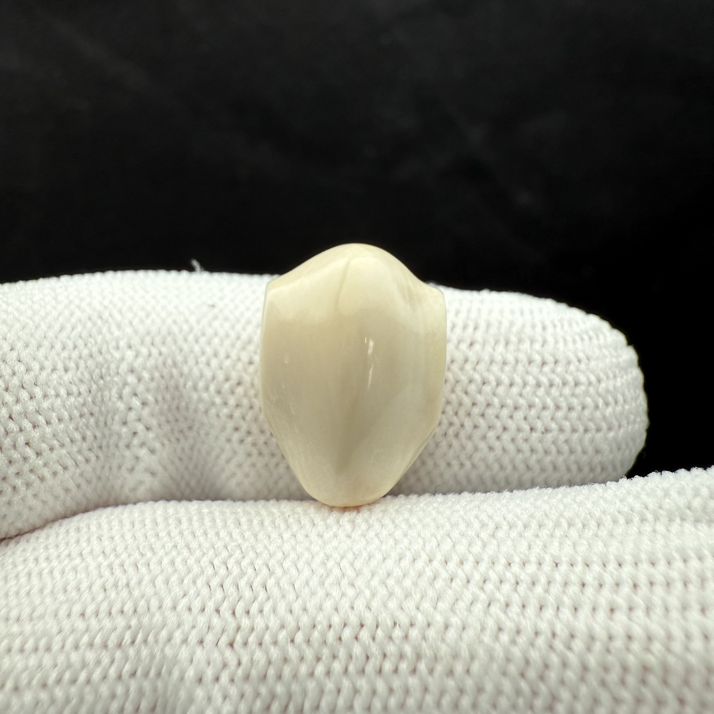 K1856瑕疵福利天然猛犸牙三通 11.5*16.4mm一物一图 假一罚十