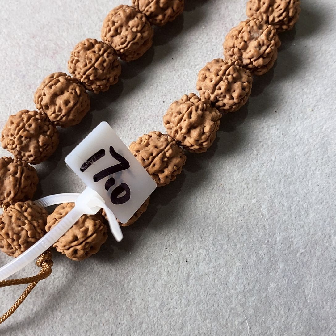 金刚菩提手串门墩梅花17