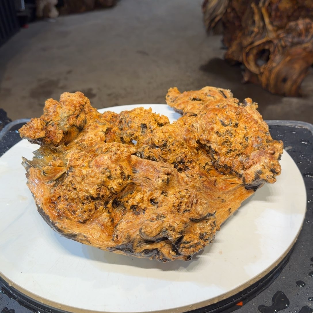 黄***涛木王一刀琥珀木摆件37