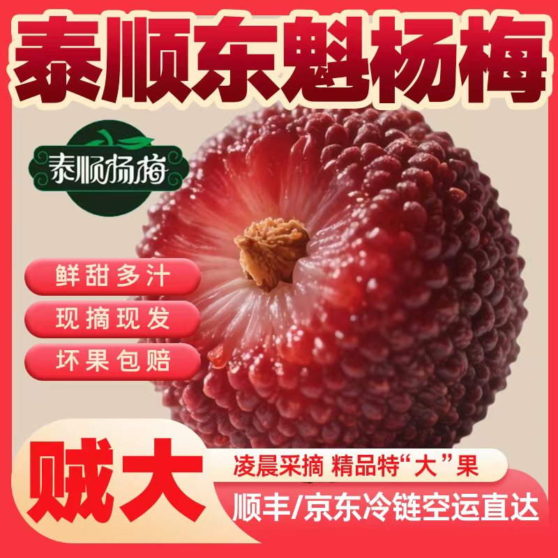 泰顺【东魁杨梅】8A大果顺丰冷链凌晨采摘精品礼盒装