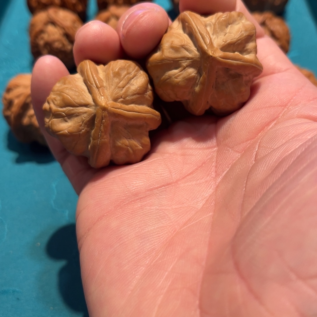 文玩核桃吊坠暖***哥古蟾 38