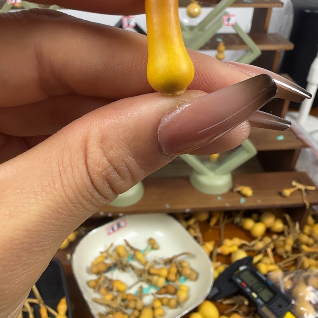 天然草里金小葫芦