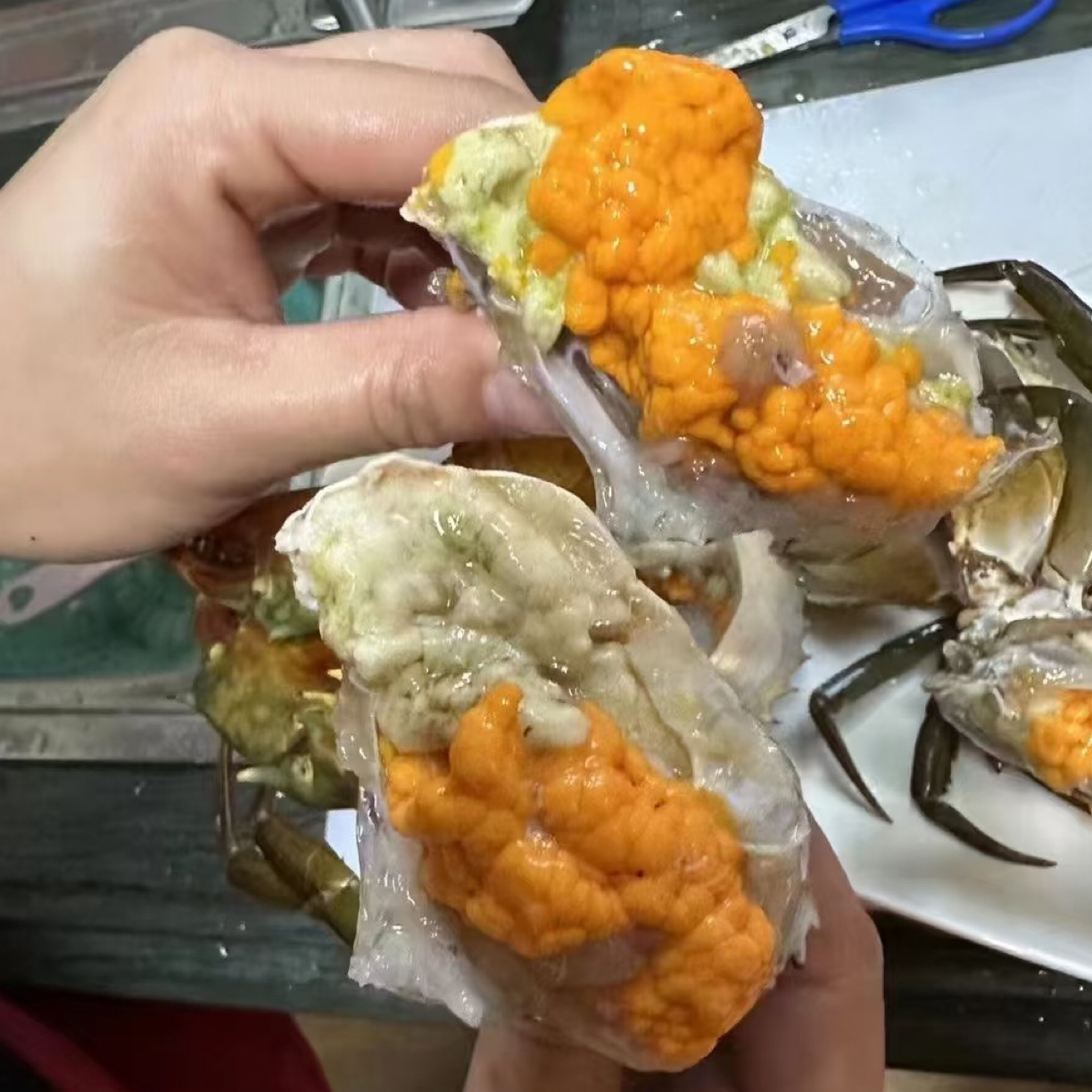 【鲜活】三门大膏蟹母膏蟹（1斤/0.5−0.6两/只）“每一口蟹黄都能给我香迷糊”