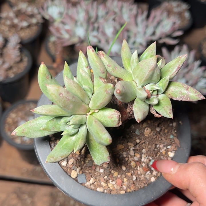 137哈哈哈哈哈哈哈哈哈哈