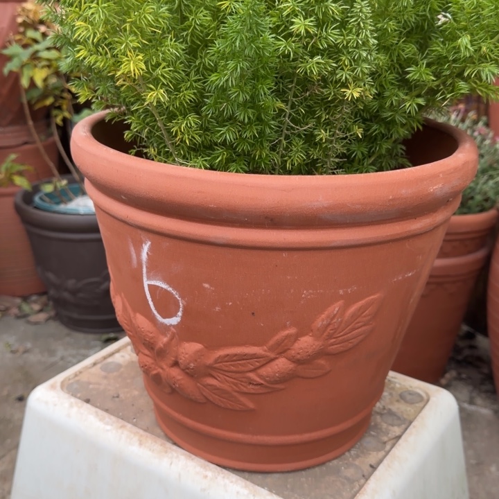 花盆紫砂口30高25宜兴紫砂 