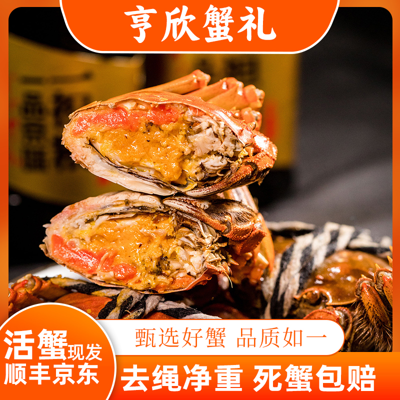 【活蟹】亨欣正宗苏州大闸蟹公蟹5.0-4.7两10只送礼盒装