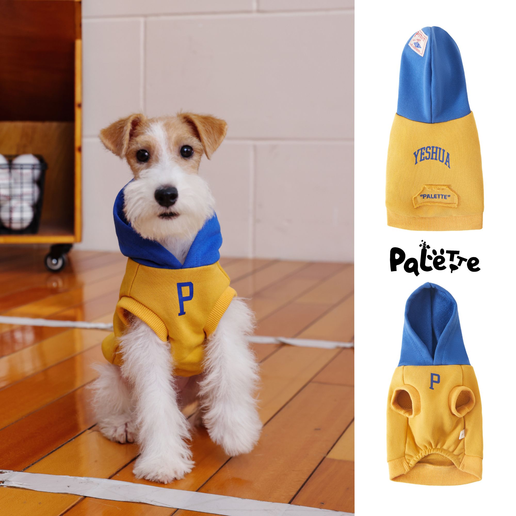 PalettePet秋冬宠物服装猫咪狗狗网红蓝黄拼色刺绣口袋无袖帽衫