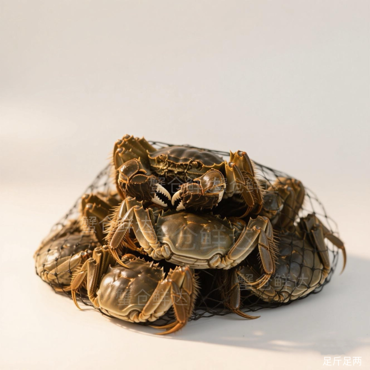 【六月黄螃蟹】可清蒸（包活包黄）红烧香辣蟹