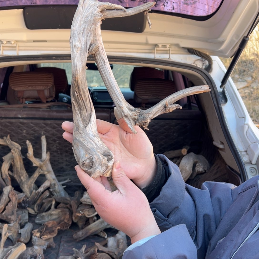 柏木（崖柏）邯****店