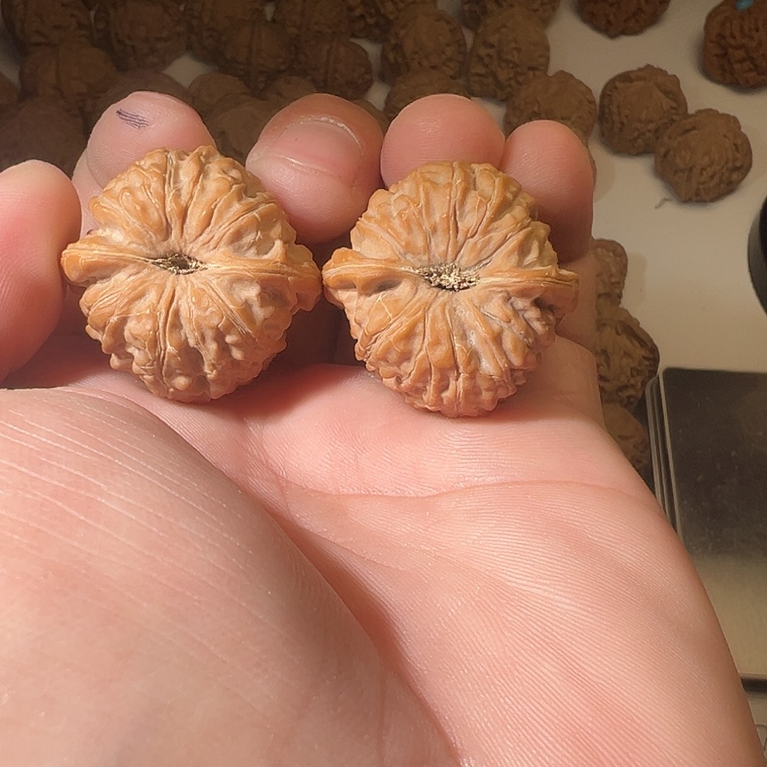 w***g猴头核桃吊坠文玩