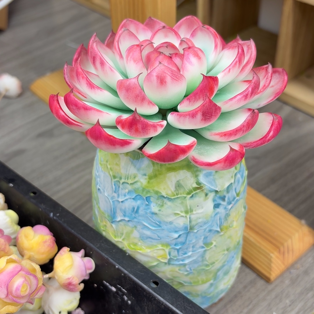 树脂制品44号噢噢噢噢