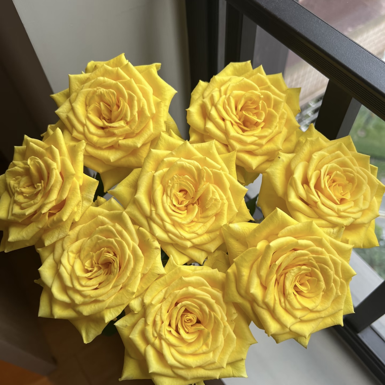 两单包邮！金丝雀玫瑰10支（20%不售后）