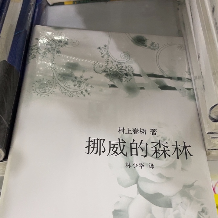 挪威的森林十米一个