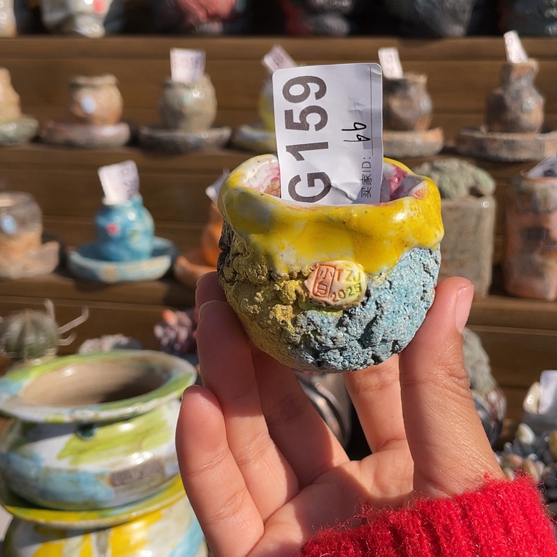 坛子姐花盆 小白孤品 内口4左右 百搭