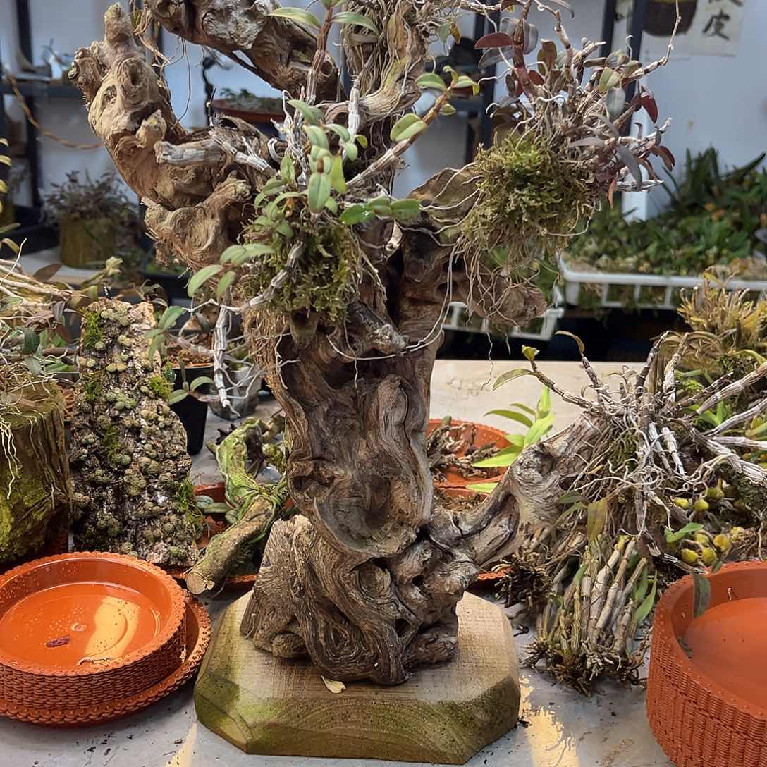 我**岁328。。。。。。。。。。。。。。。。