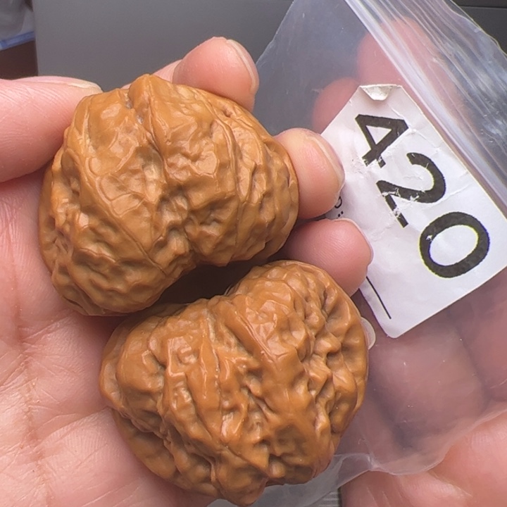 核桃43边43肚420号