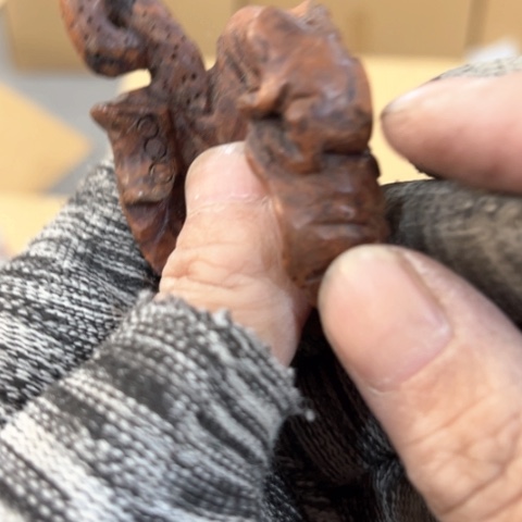 杯杨*儿这样才可以的感觉是一