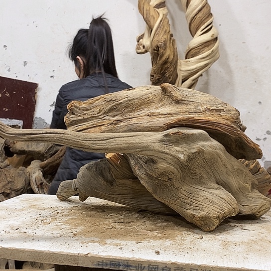 墨***柏木我们都是好孩子