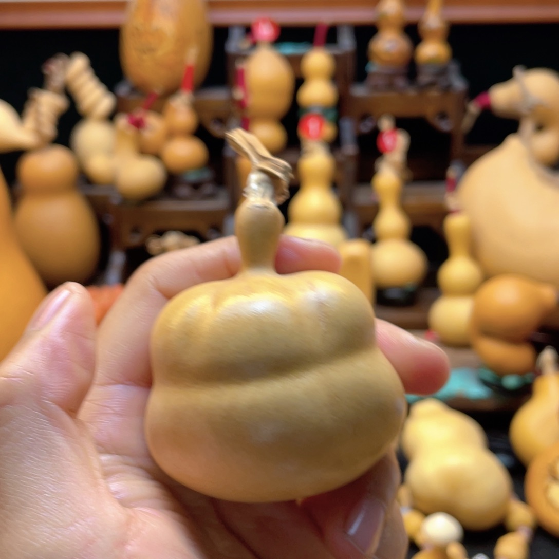 滴*滴大自然的秘密第十一节的