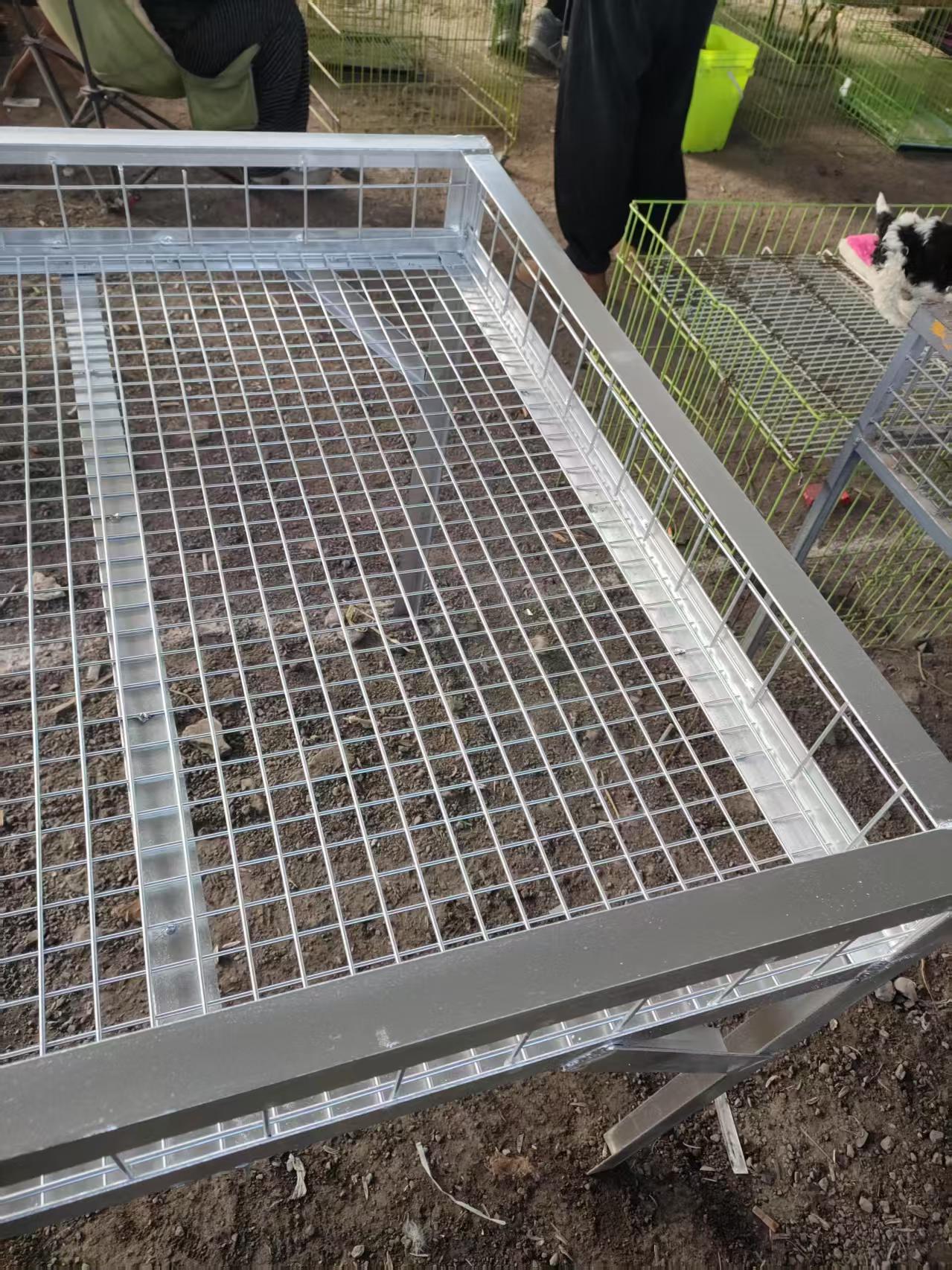 大笼子（拍前联系达人）