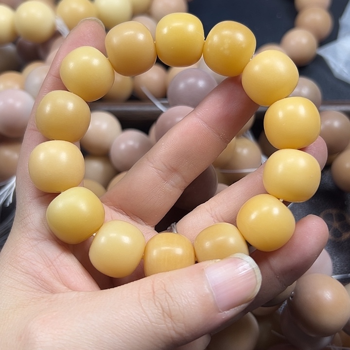 吊坠菩提根/象牙果