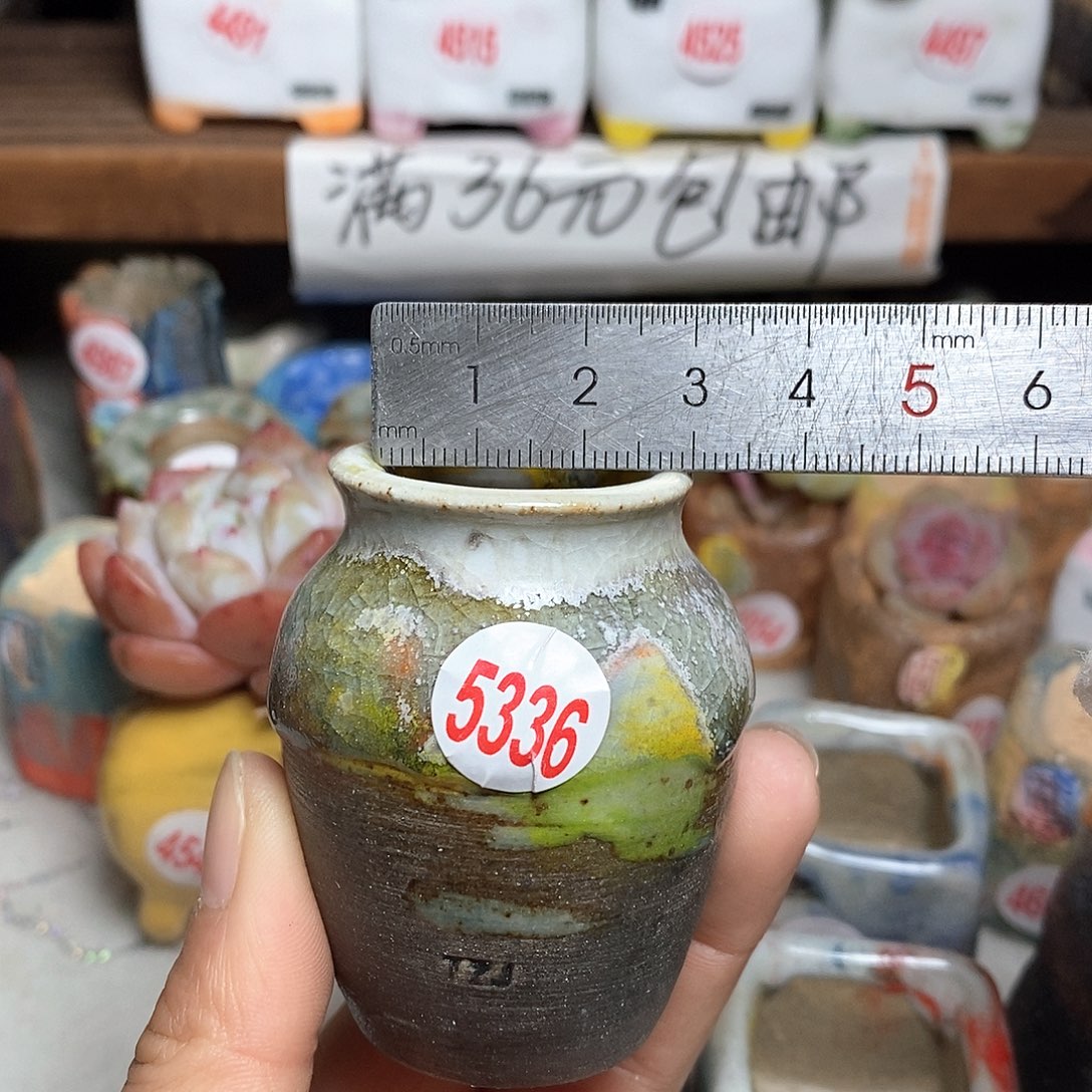 红陶拍5送一个小