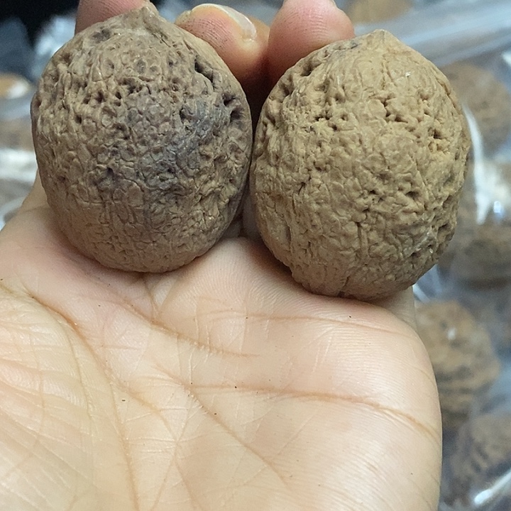 文玩核桃把件云南铁核桃基地58