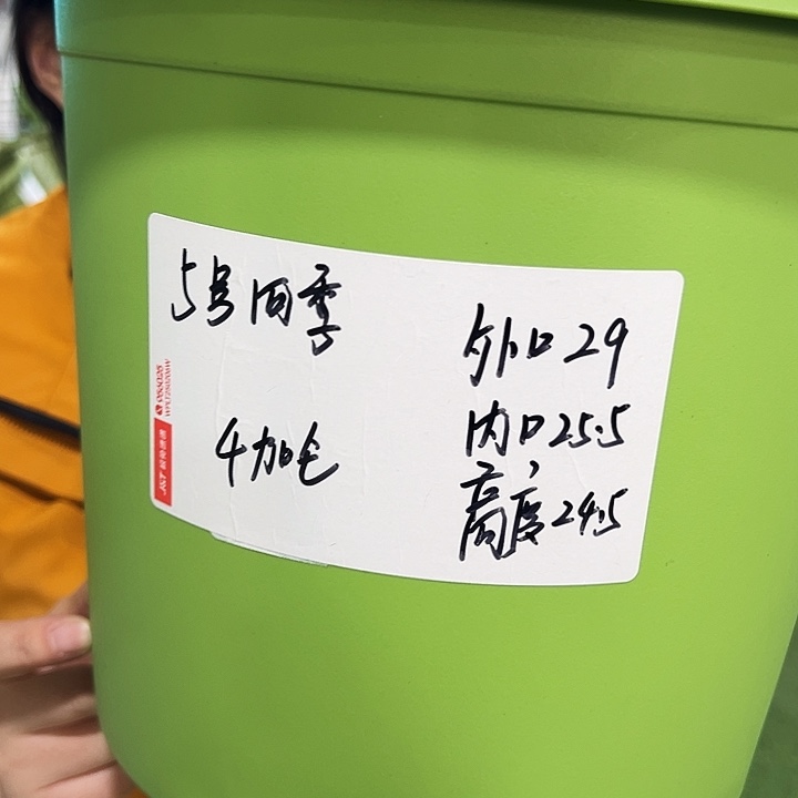 特价四季5号口29高24果绿色10只无托