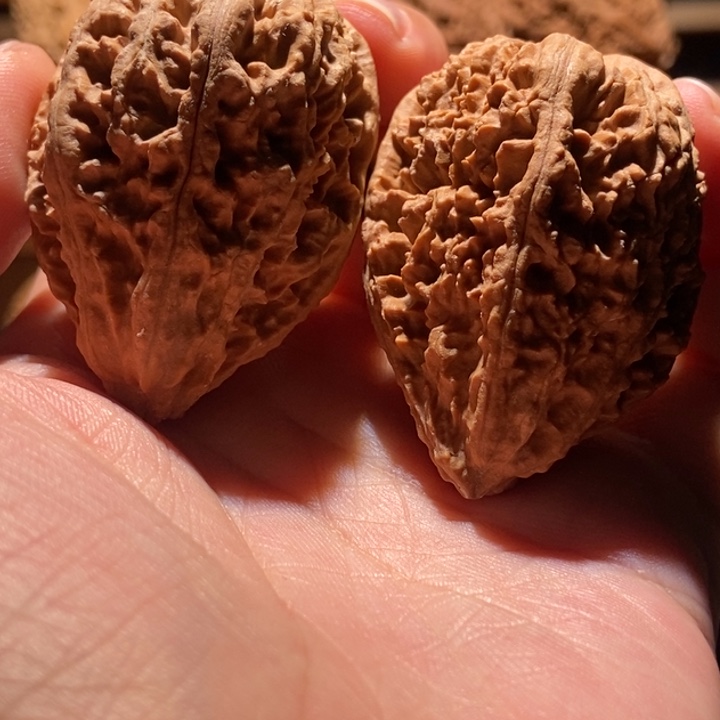 文玩核桃吊坠楸玥核34浮黄