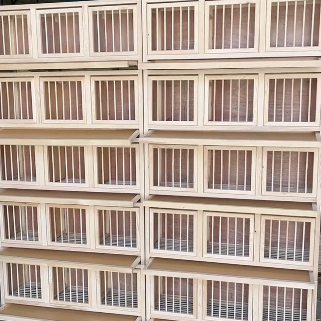 松木三合板防水粪抽赛飞笼