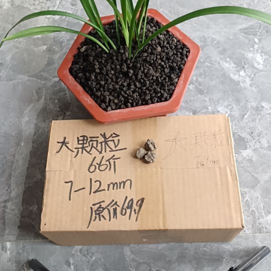 李***鹏兰菌黑山土大颗粒6.6斤