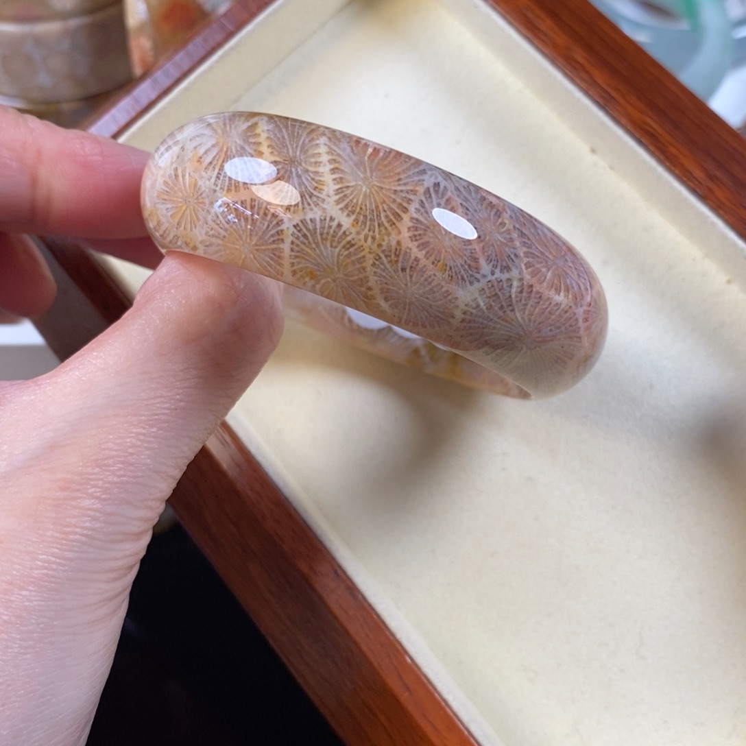 硅化珊瑚（珊瑚玉）未镶嵌手镯52口福利800