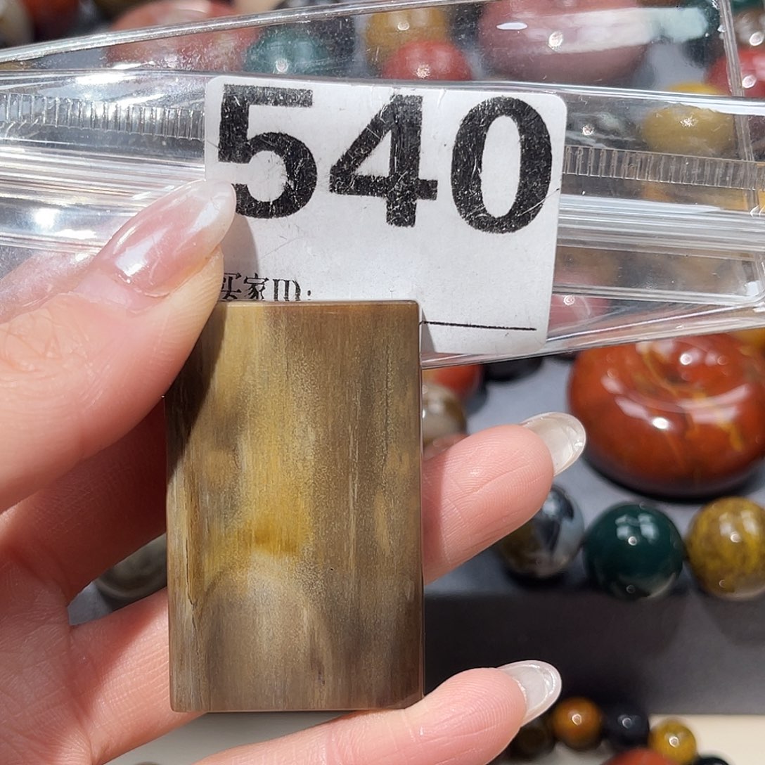 硅化玉未镶嵌天然北票树化玉方牌