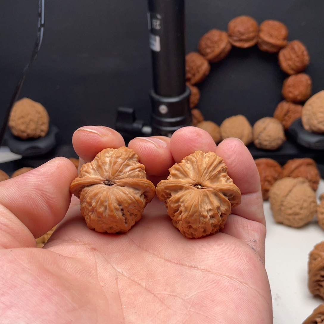 爨***爩文玩核桃吊坠白狮子 33