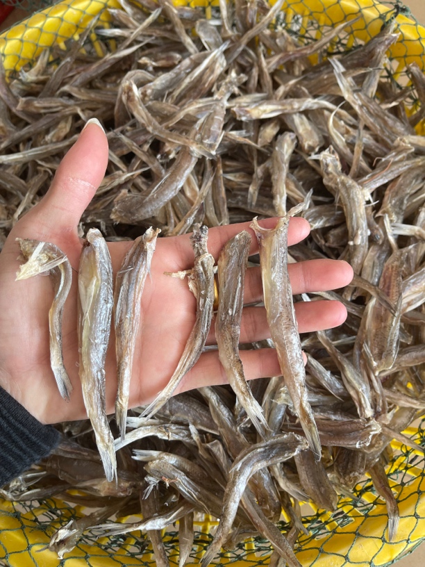 汕尾马宫本港自晒海鸥鱼干 那哥丁鱼脯中乌鱼干淡口香煎配饭配粥