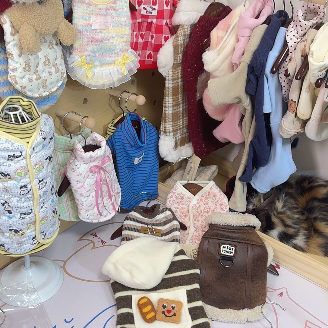 宠物衣服s码四件衣服